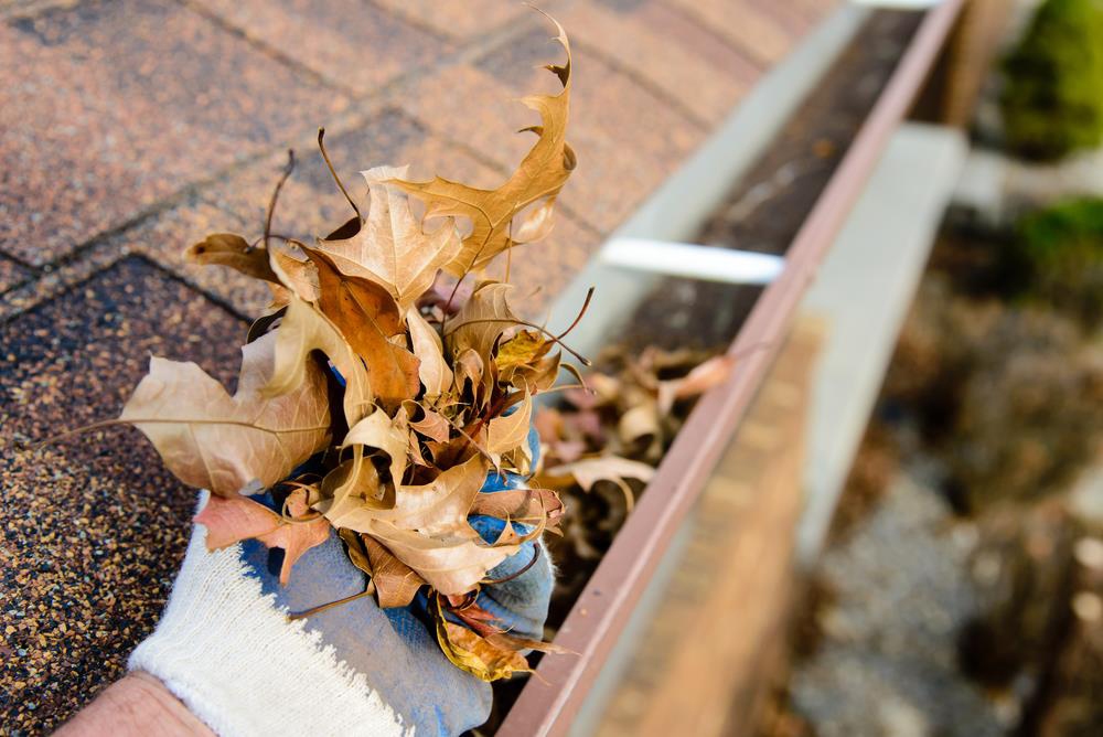 Professional Gutter Cleaning Navenby