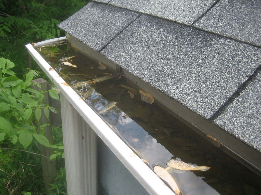 Professional Gutter Cleaning Sleaford