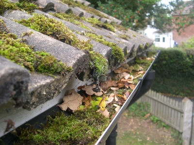 Professional Gutter Cleaning Quadring