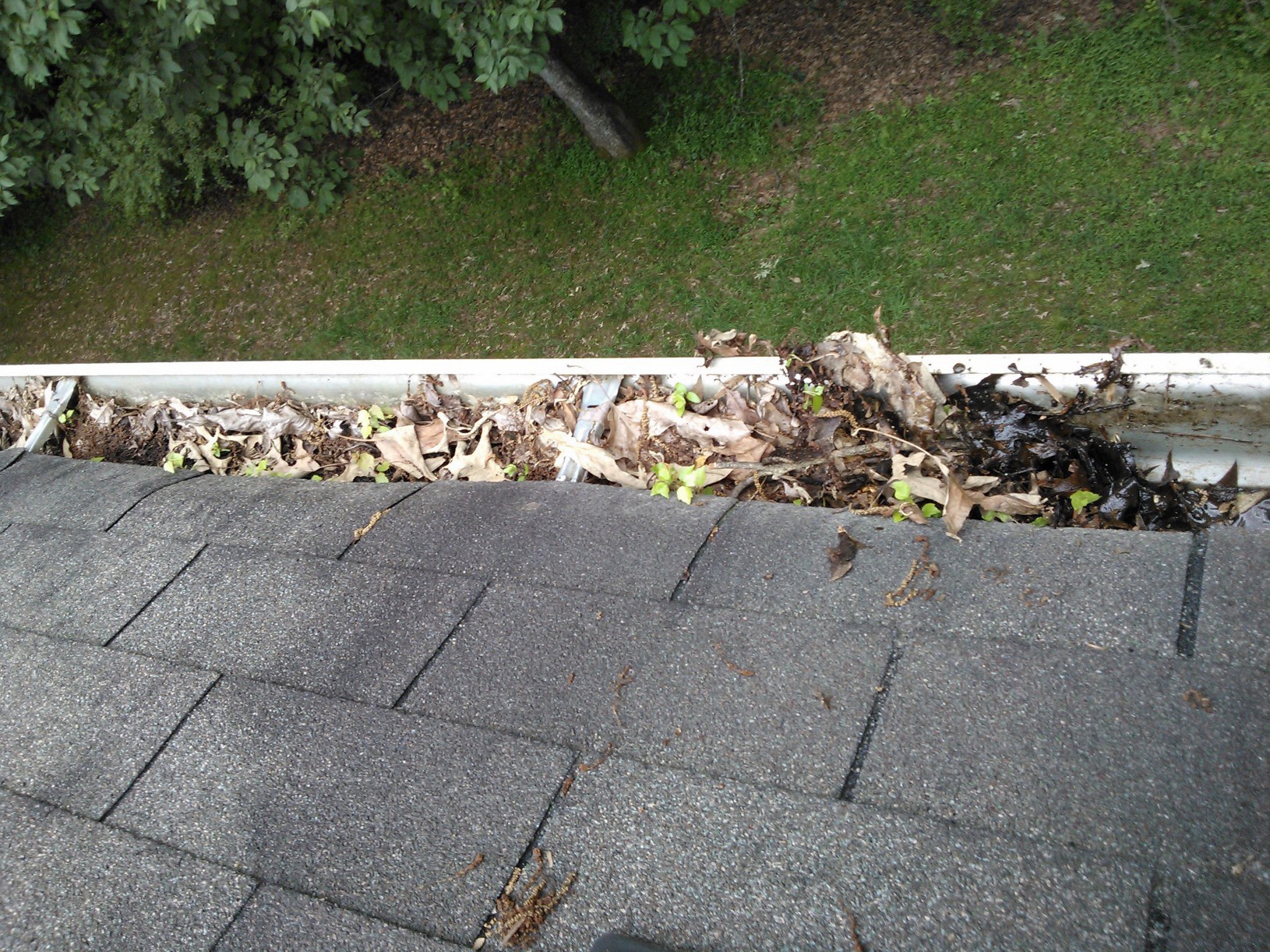 Professional Gutter Cleaning Spalding